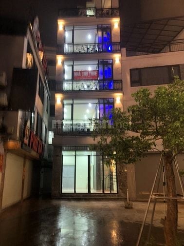 CHO THUÊ NHÀ SỐ 147 MẶT TIỀN ĐƯỜNG HUỲNH THÚC KHÁNG NỐI DÀI