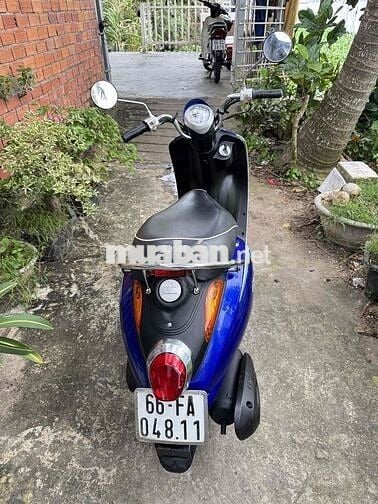 50cc bán hoặc giao luu