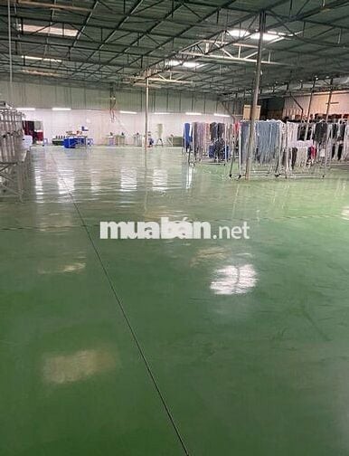 Cho thuê kho Hoàng Quốc Việt 1.400m² sàn Epoxy container 24/7