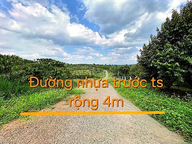 Công ty Đấu giá hợp danh Lam Sơn Sài Gòn thông báo đấu giá tài sản