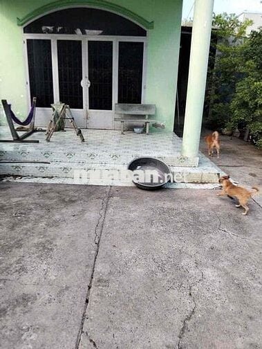 Bán đất & nhà ở Xã Tân Thông Hội Củ Chi