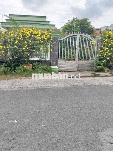 Bán đất & nhà ở Xã Tân Thông Hội Củ Chi