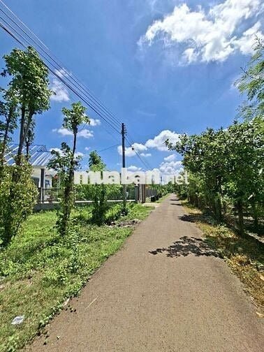 Giáp Bảo Vinh - Long Khánh , View Núi Gia Lào