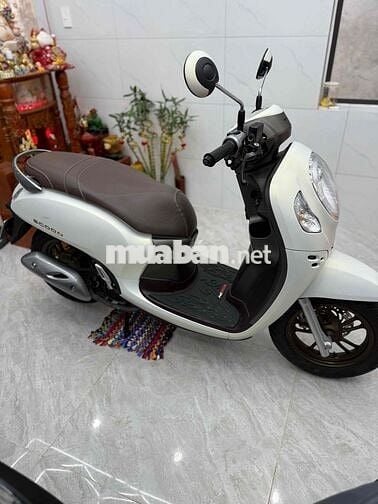 Honda Scoopy 2024 Trắng ngọc trai Tự động