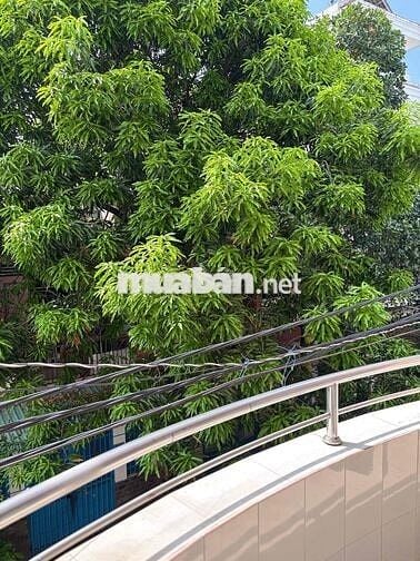 Cần cho thuê nhà MT nội bộ CXPL D 4x16 1T1L nhà mới dọn vô ở ngay