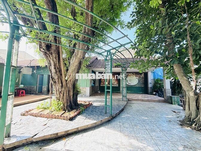 Cho Thuê Mặt Bằng Kinh Doanh (mô hình caffe, quán ăn) 800m2 Trảng Dài