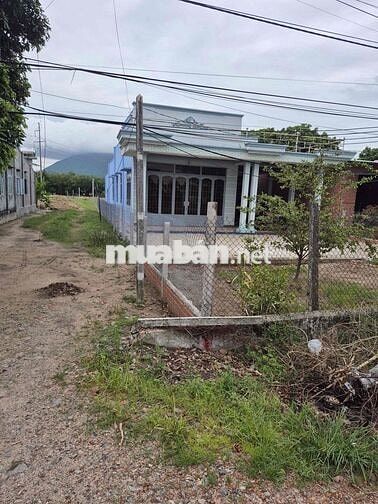 CHÍNH CHỦ CẦN BÁN ĐẤT CÓ SẴN NHÀ CẤP 4 MỚI - TÂN HƯNG - TÂY NINH