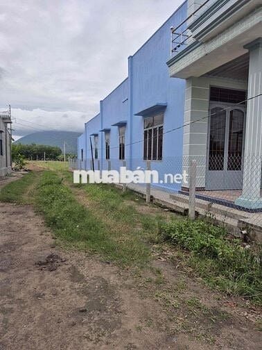 CHÍNH CHỦ CẦN BÁN ĐẤT CÓ SẴN NHÀ CẤP 4 MỚI - TÂN HƯNG - TÂY NINH