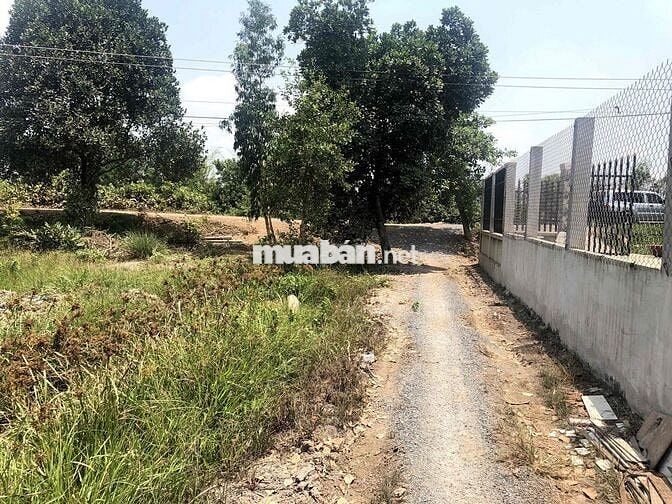 924m2 đất vườn Bến Lức (Long An) chỉ 790tr