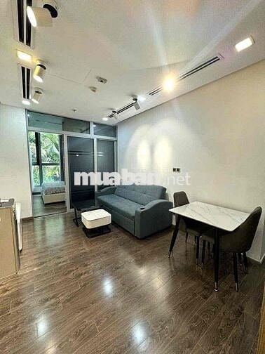 Cho thuê 1pn Full Nt chỉ 17 triệu , Vinhomes Central Park , in liền