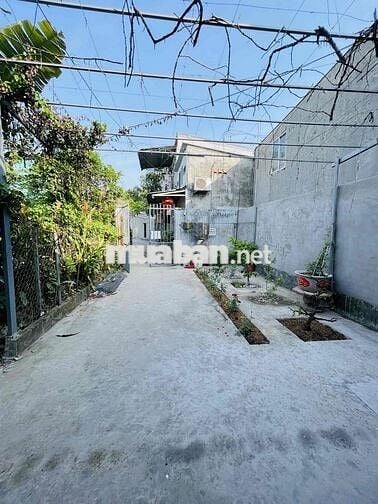 Bán nhà cấp 4 sân vườn- 5 phòng trọ tháng sạch đẹp