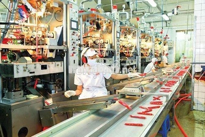 HOÀN TIỀN HỒ SƠ - PC CƠM - ỨNG TUẦN - KSK MIỄN PHÍ