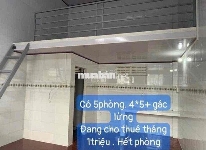 Bán nhà cấp 4 sân vườn- 5 phòng trọ tháng sạch đẹp