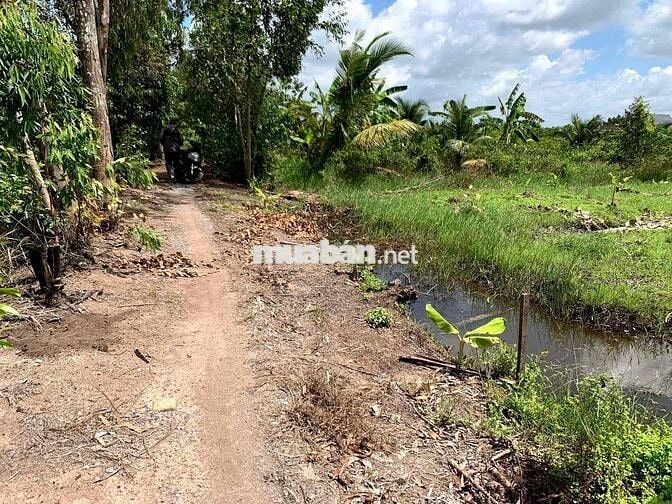 924m2 đất vườn Bến Lức (Long An) chỉ 790tr