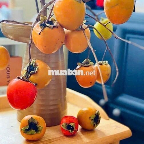 Cho thuê nhà đường Tân Sơn nhì phường Tân Sơn nhì hẻm xe hơi đúc 3 tấm