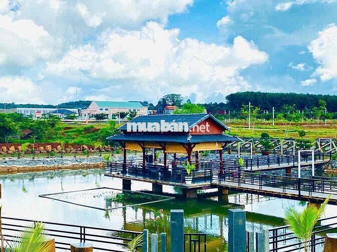 LÔ ĐẤT CỰC ĐẸP ĐƯỜNG NHỰA 13M CÓ VỈA HÈ, NGAY UỶ BAN XÃ 5x20=100M2