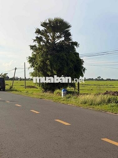 chính chủ bán lô đất mặt tiền sát núi bà đen tây ninh