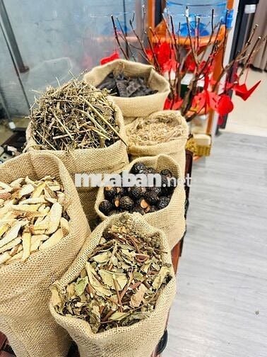 TUYỂN KTV GỘI DƯỠNG SINH & MASSAGE Q7