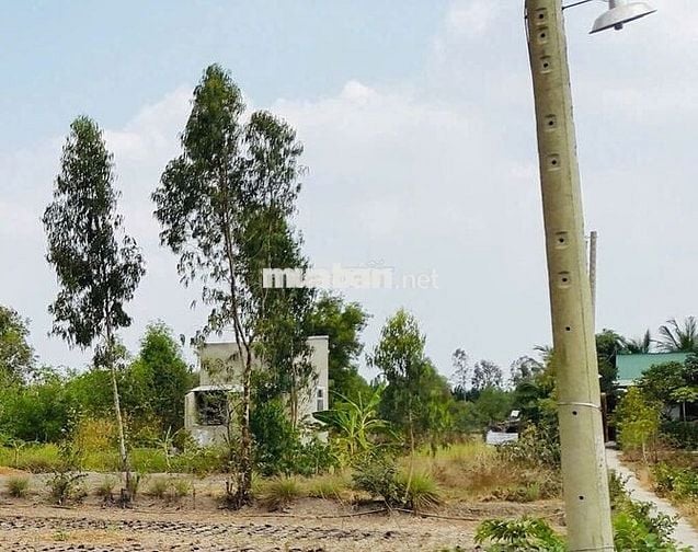 Bán đất  vườn chính chủ giá rẻ