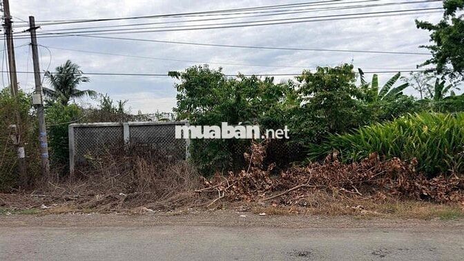 Bán GẤP 20m ĐẤT NỀN, dài 130m, đường DT976