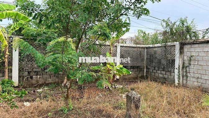 Bán GẤP 20m ĐẤT NỀN, dài 130m, đường DT976