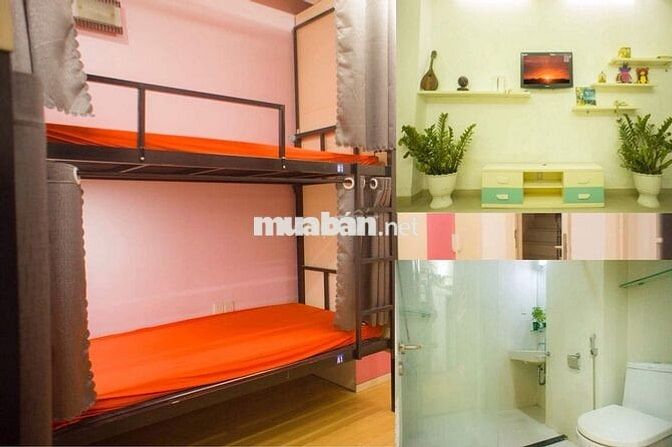 Nguyễn Chí Thanh Chợ Rẫy Ngành Y Phòng trọ ghép Sinh viên Văn phòng