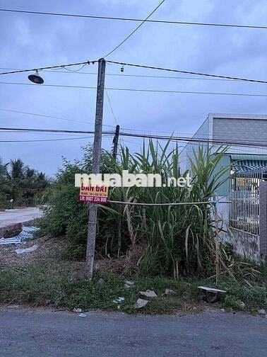 🏡 ĐẤT THỔ CƯ CHÍNH CHỦ – GIÁ CHỈ 860 TRIỆU