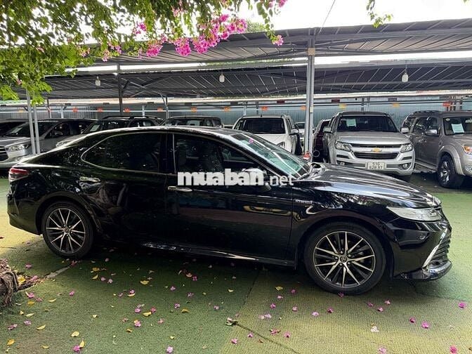 Toyota Camry 2023 Xăng điện Tự động Đen