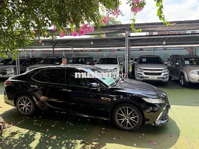 Toyota Camry 2023 Xăng điện Tự động Đen
