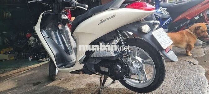 Yamaha Janus 2018 Kem