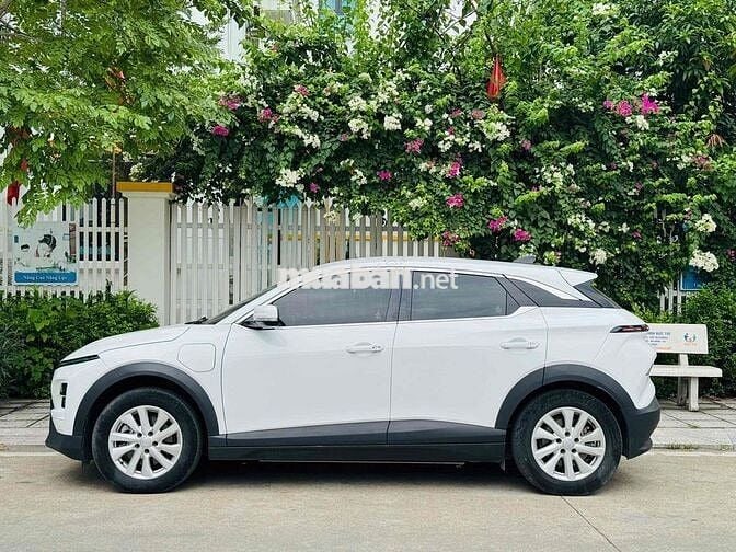 VinFast VF6 Eco 2024 Trắng 130000 km