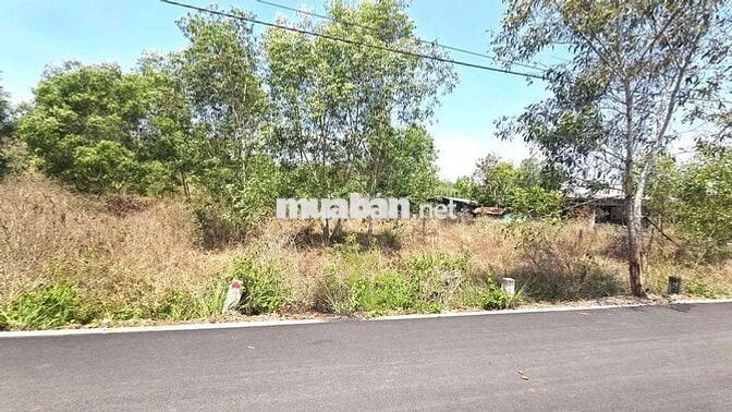 Bán đất Láng Dài, Đất Đỏ, 287 m2 (100 thổ cư) đường nhựa NN, 680 triệu