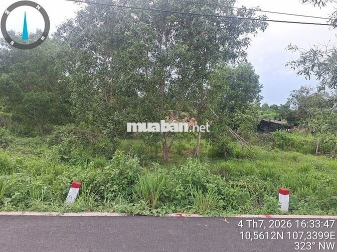 Bán đất Láng Dài, Đất Đỏ, 287 m2 (100 thổ cư) đường nhựa NN, 680 triệu