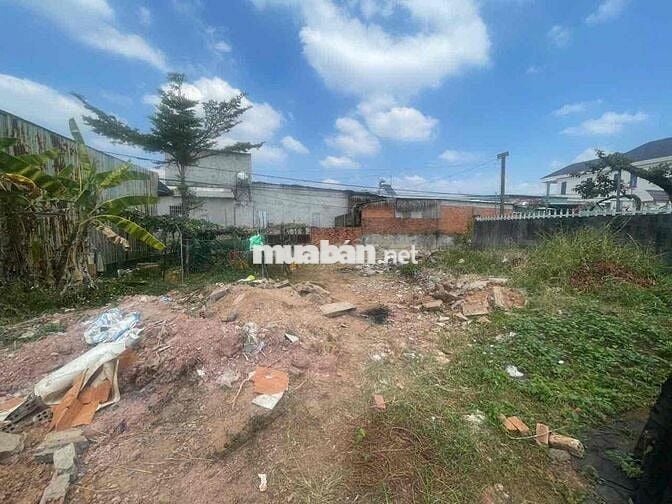 ĐẤT 16X31 NHÁNH LÊ LAI, ĐỒNG XOÀI, BÌNH PHƯỚC