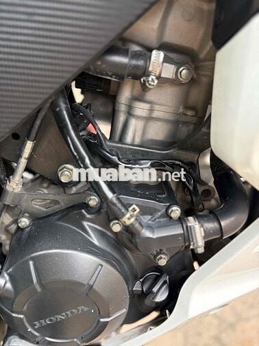 Honda winner v1