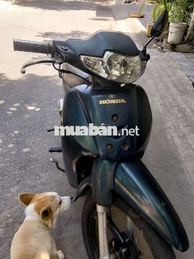 Honda Wave Alpha Xanh đen