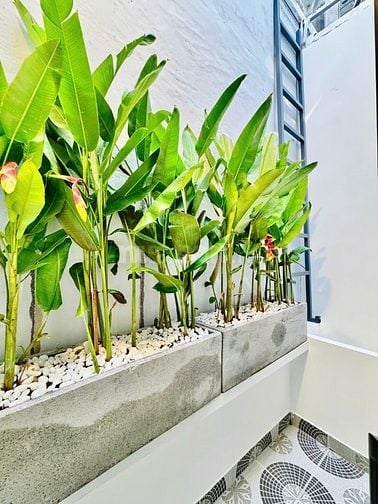 CHÍNH CHỦ BÁN SIÊU PHẨM NHÀ HẺM XE HƠI ĐẾN CỬA NGAY CÔNG VIÊN GIA ĐỊNH