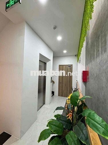 🔥 HOT DEAL – CHO THUÊ SOHO ĐƯỜNG N3C 📍 Vị trí đẹp, phù hợp mở văn phòn