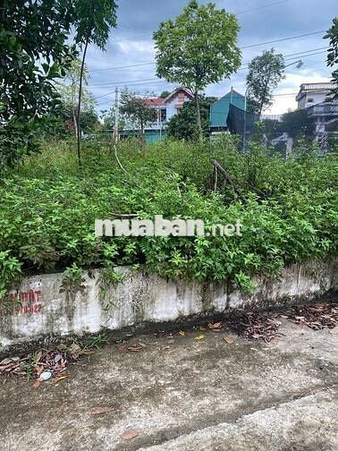 Chính chủ kẹt tiền cần bán nhanh lô đất 3 mặt tiền ngay đại học FPT