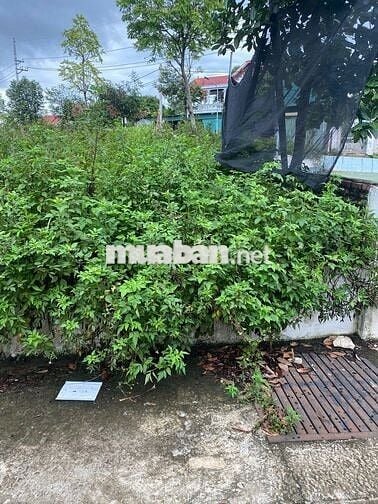 Chính chủ kẹt tiền cần bán nhanh lô đất 3 mặt tiền ngay đại học FPT