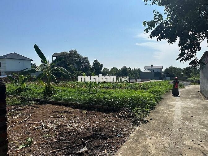 Chính chủ cần bán gấp lô đất 2 mặt tiền ngay KCN Hoà Lạc, DT 304m2