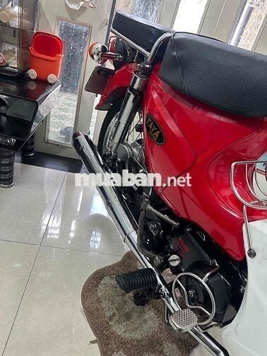 Taya Cup 50cc 2019 Đỏ Trắng