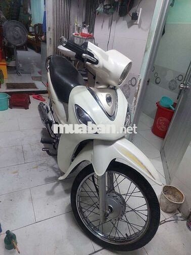 SYM Angela 50 2016 Trắng