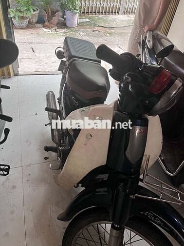 Honda Cub 50 2019  xanh
