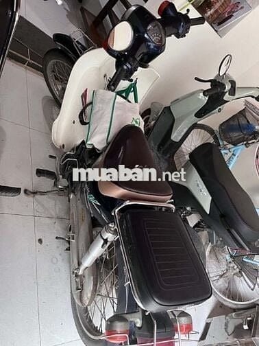 Honda Cub 50 2019  xanh