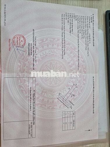 Bán đất thổ cư,gần ngã 3 Tân Kim, Cần Giuộc, Long An cũ