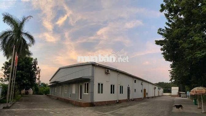 🛑CHO THUÊ KHO-XƯỞNG PHAN HUY ÍCH🛑TỔNG 7200m2-THUÊ THEO NHU CẦU 100K/M2