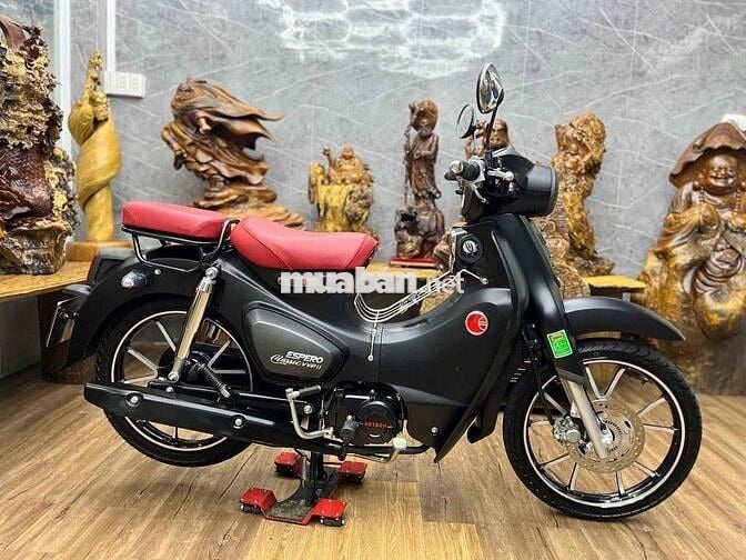 Cub 50cc có ccccd chủ up full 110cc. odo 1,2k km