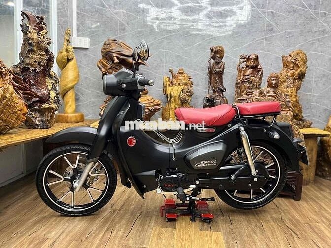 Cub 50cc có ccccd chủ up full 110cc. odo 1,2k km