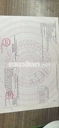 tôi cần bán 1 nền đất tại khu Agora City